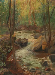 Arroyo en el bosque